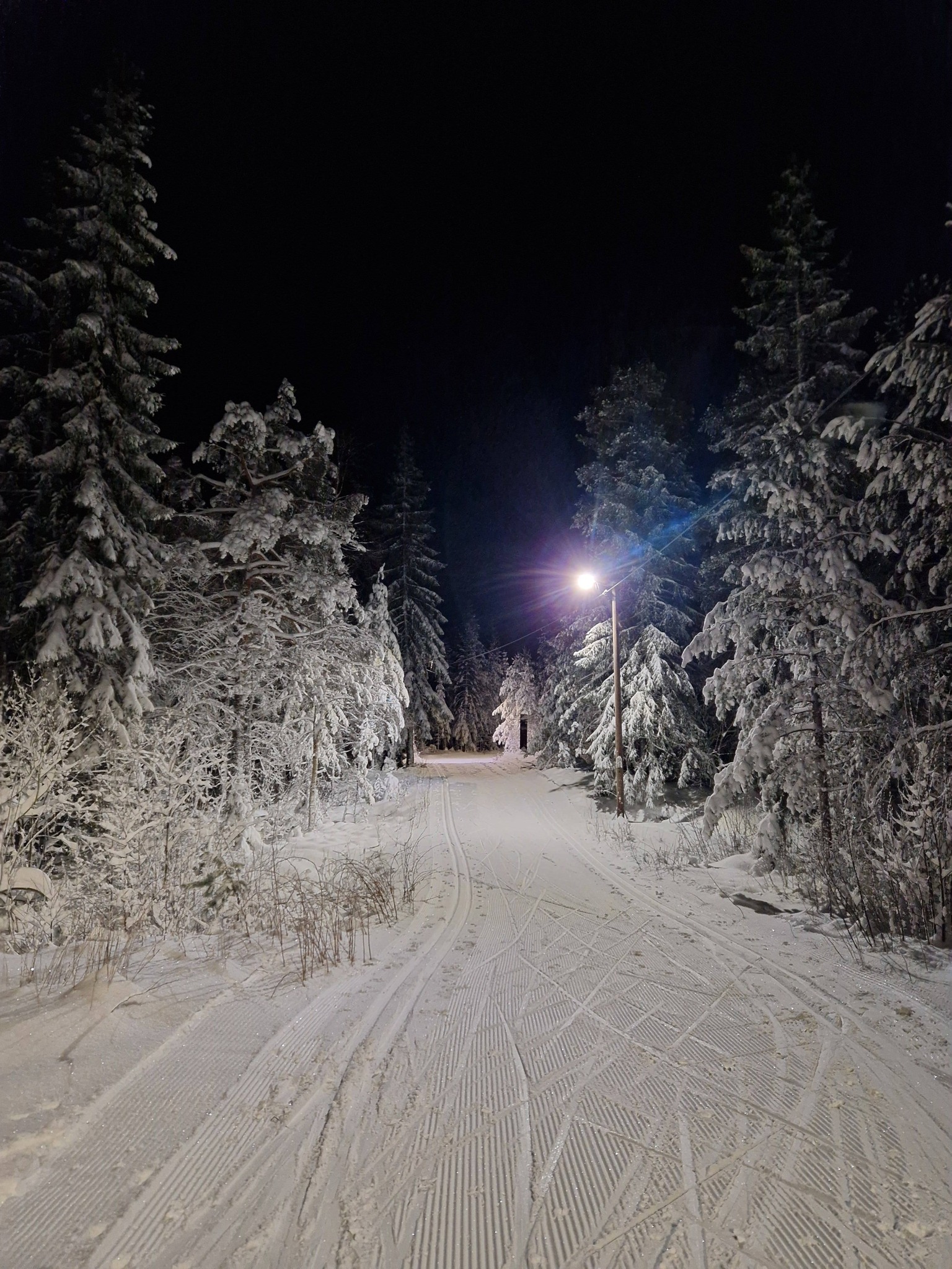 Langrennsløype Vegårshei